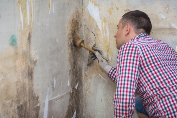 15 Signs Your Home Is In Need of Basement Mold Removal