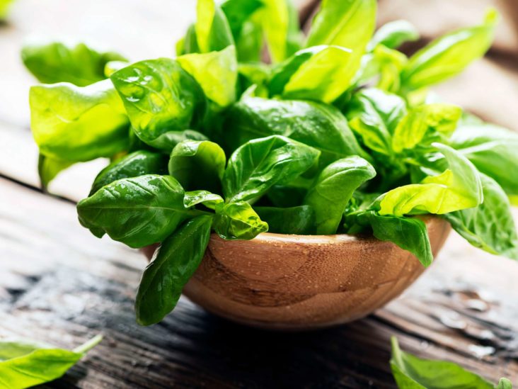What Holy Basil Can Do for Your Health