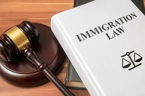 immigration lawyers London