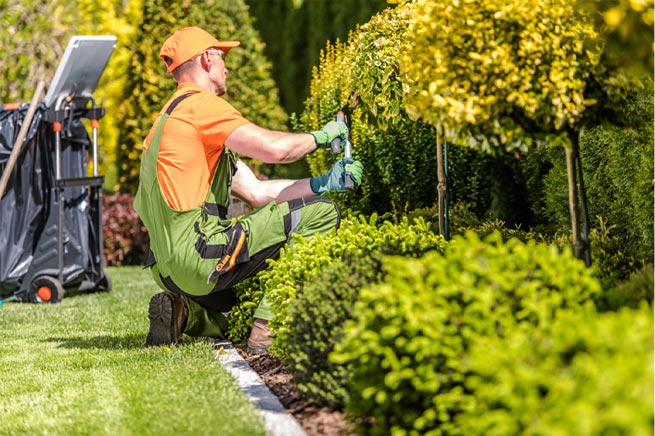landscaping services in Williamsburg VA