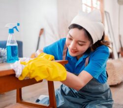 Top House Cleaning Services