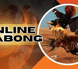 onlinesabongz