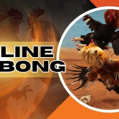 onlinesabongz